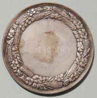 1933. "TESZ Nemzeti Munkahét" nagyalakú ezüstözött Br plakett  szign:Berán Lajos T:2