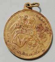 1898. "Szabadságharc" Br emlékérem T:2