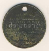 USA 1910-es évek "Carneggie Steel Co." Br belépti biléta, elvesztése esetén 50c bírság vol...