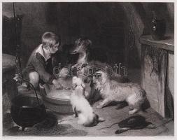 cca 1880 Sir Edwin Henry Landseer (1802-1873) képei nyomán: Kutyák. 22db acélmetszet /  After Sir Edwin Henry Landseer: Dogs, a series with 22 steel engravings, 26x37cm