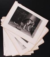 cca 1880 Sir Edwin Henry Landseer (1802-1873) képei nyomán: Kutyák. 22db acélmetszet / 
After Sir Ed...