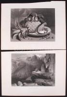 cca 1880 Sir Edwin Henry Landseer (1802-1873) nyomán: Állatok. 4db acélmetszet /  After Sir Edwin Henry Landseer: Animals, 4 steel engravings, 26x37cm