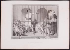 cca 1880 Sir Edwin Henry Landseer (1802-1873) nyomán: Állatok. 4db acélmetszet / 
After Sir Edwin He...