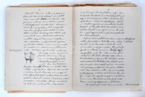 cca 1900 Csányi Károly (1873-1955) építész,  művészettörténész, műegyetemi tanár saját kezű kézirata...