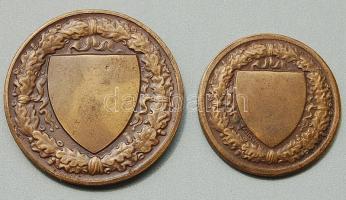 1869. "Budapesti (Budai) Torna Egylet" 2 klf (Botond éd Kinizsi) nagyságú és ábrázolású Br...