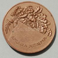 1899. "Debreceni Ipartestület" Br T:2