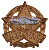 1955. "Díszszemle Április 4." zománcozott jelvény (42mm) T:2