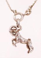 Ezüst (Ag.) nyaklánc zergével, jelzett, nettó: 5 g, h:52 cm/Silver necklace