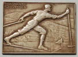 cca. 1900. "Magyar Sí Szövetség" szögletes fém plakett. Szign:Berán Lajos T:2