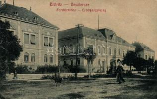 Beszterce, Bistritz, Bistrita; Erdőigazgatóság / Forestry Directorate, Verlag Haupts Buchhandlung (EB)