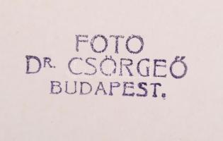 Cca 1950-60 Dr. Csörgeő Tibor (1869-1968): Borotvahab reklám. Pecséttel jelzett, 24x18 cm