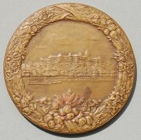 1935. "IX. Nemzeti Dermatológiai Kongresszus-Budapest" nagyalakú Br plakett. Szign:Vastagh...