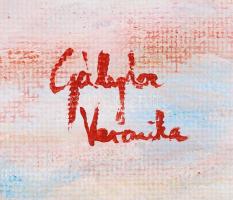 Gályász Veronika (1982-): Hóval fedett szénaboglya. Akril, farost, jelzett, keretben, 50×40 cm