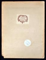 Cca 1920 Székely Aladár (1870-1940): Csipkay Zoltán és felesége. Aláírva, kartonra ragasztva, kép: 2...