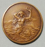 1900. "Balatoni Úszók Egyesülete" kis Br. plakett T:2
