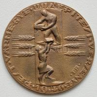 1946. "Pest vármegye újjáépítési versenye" nagyalakú Br plakett. Szign:BB T:2