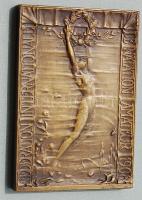 1908. "FINA-Nemzetközi Úszószövetség" alapítási szögletes Br plakett. Érdekessége: hátlapi szignó (Arkanzas Budapest - gyártó cég) T:2