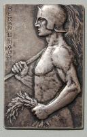 1899. "Ferencvárosi Torna Club", későbbi 1905-ös Berán L. belevésett szignóval, Ag 48,45g T:2