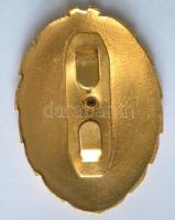 DN Zrínyi Katonai Akadémia aranyozott jelvénye tűzzománc Árpád-sávozatos középrésszel és kardon szét...