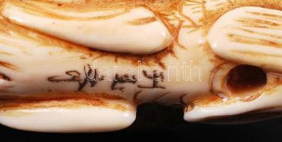 19. század. Pontyon lovagló bölcs. Necuke, faragott elefántcsont figura Japánból, alján jelzett / 
1...