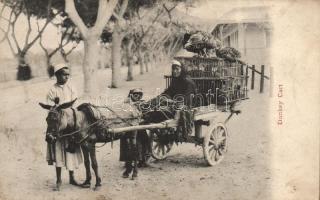 Folklore, donkey cart