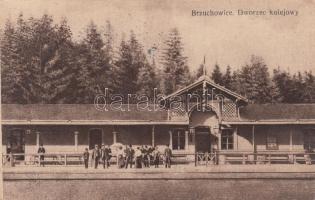 Bryukhovychi, Brzuchowice; railway station