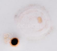 Herendi jegesmedve (Markup Béla), fehér mázas, jelzett (csak mélynyomás), hibátlan, m:19, h:21 cm