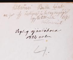 Hunfalvy János: Budapest és környéke eredeti képekben. Rajzolta Rohbock Lajos. Acélba metszették kor...