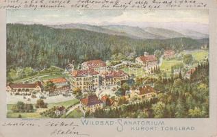 Tobelbad, Wildbad-Sanatorium