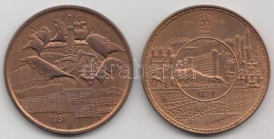 1991. "40 éves a Nagyalföldi Kőolaj- és Földgáztermelő Vállalt" + 1991. "40 éves a Na...