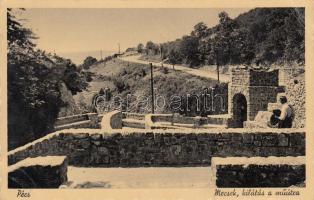 Pécs, mecsek, kilátás a műútra (EB)