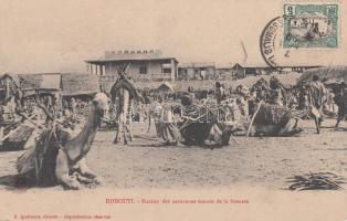 Djibouti, caravan station, folklore