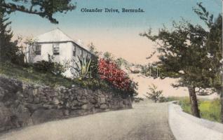 Bermuda, Oleander Drive