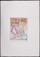 Kolozsvári G. Miklós (1950-): Rába lánya. Rézkarc 15/12, papír, jelzett, 14×11 cm