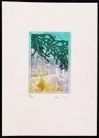 Egresi Zsuzsa (1954): Varázsló (1992). Rézkarc, papír. Jelzett 15/100. 9,7 x 6,8 cm