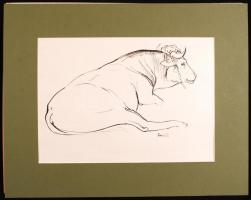Szinte Gábor (1928): Pihenő bika. Tus, papír. Jelzett	29 x 41 cm