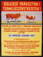 cca 1950 Termelőszövetkezeti propaganda plakát 40x60 cm