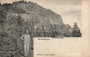 Abrudbánya Detonáta hegy / mountain (fl)