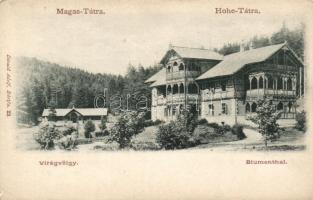 Tátra Virágvölgy (small tear)