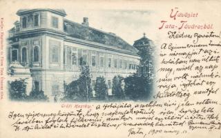 Tata-Tóváros, grófi kastély