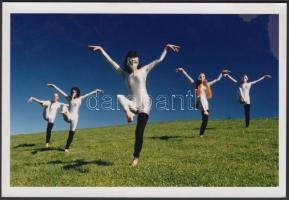 2000 Harry Schiffer: Die tanzenden Vögel - Madártánc, hátoldalán feliratozott, 13x18cm