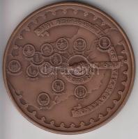 Bozó Gyula (1913-2004) 1988. "Szent Jobb országjárása-Szent István halálának 950. évfordulója" nagyalakú Br emlékérem (70mm) T:1