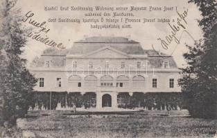 Temesújfalu, Zselénszky castle (fa)