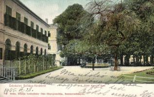Szliácsfürdő Fő tér Kossuth fával / main square, tree