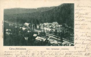 Tátra Barlangliget (fl)