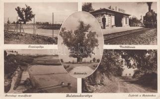 Balatonakarattya, vasútállomás, Rákóczi-fa