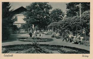 Csíz-Gyógyfürdő, park