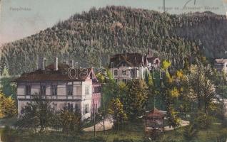 Fenyőháza, Erzsébet körút, villasor / villas