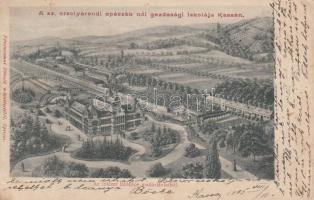 Kassa, Kosice; Orsolyita gazdasági iskola / Catholic school (wet damage)