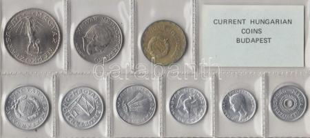 1980. 2f-10Ft 9db klf érmés forgalmi sor fóliatokban T:1